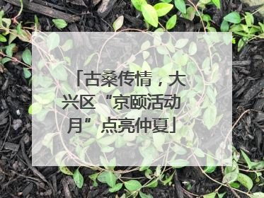 古桑传情，大兴区“京颐活动月”点亮仲夏