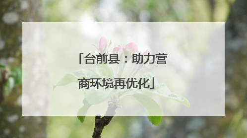 台前县：助力营商环境再优化