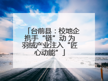 台前县：校地企携手“链”动 为羽绒产业注入“匠心动能”