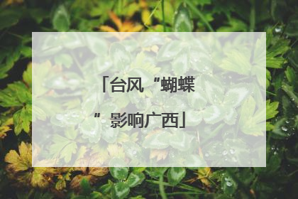 台风“蝴蝶”影响广西