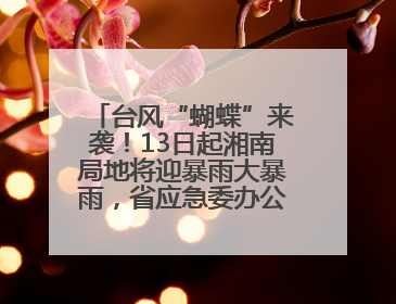 台风“蝴蝶”来袭！13日起湘南局地将迎暴雨大暴雨，省应急委办公室发布汛情提醒