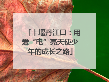 十堰丹江口：用爱“电”亮天使少年的成长之路