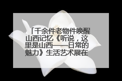 千余件老物件唤醒山西记忆《听说，这里是山西——日常的魅力》生活艺术展在忻州市图书馆开展