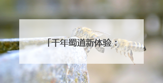 千年蜀道新体验：非遗鱼灯首次亮相 徒步挑战再掀热潮