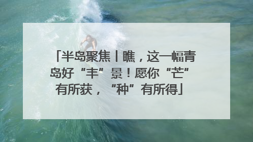 半岛聚焦丨瞧，这一幅青岛好“丰”景！愿你“芒”有所获，“种”有所得