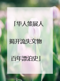 华人策展人揭开流失文物百年漂泊史