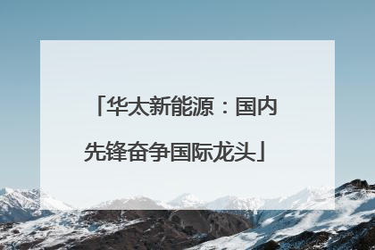 华太新能源：国内先锋奋争国际龙头