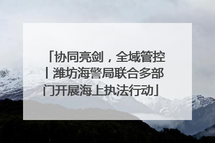 协同亮剑，全域管控丨潍坊海警局联合多部门开展海上执法行动
