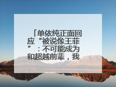 单依纯正面回应“被说像王菲”：不可能成为和超越前辈，我想致敬他们