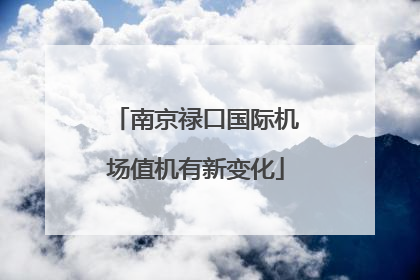 南京禄口国际机场值机有新变化