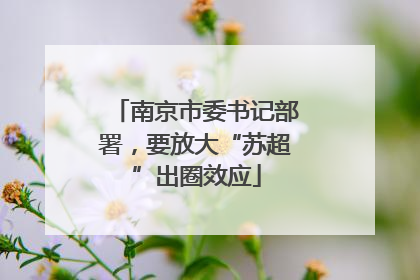 南京市委书记部署，要放大“苏超”出圈效应
