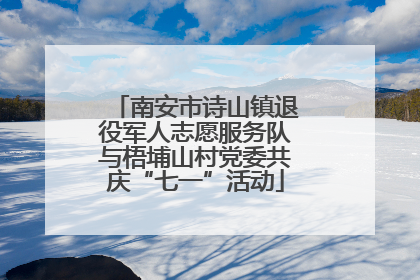 南安市诗山镇退役军人志愿服务队与梧埔山村党委共庆“七一”活动