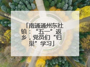 南通通州东社镇：“五一”返乡，党员们“归巢”学习