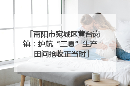 南阳市宛城区黄台岗镇：护航“三夏”生产 田间抢收正当时