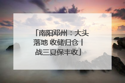 南阳邓州：大头落地 收储归仓丨战三夏保丰收