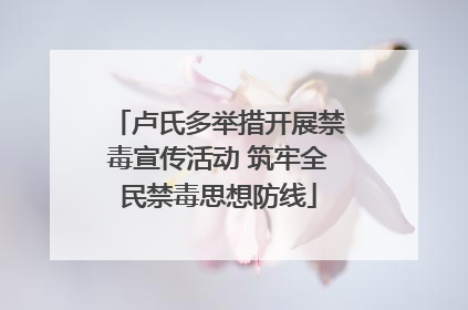 卢氏多举措开展禁毒宣传活动 筑牢全民禁毒思想防线