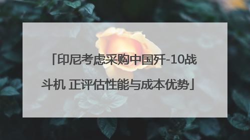 印尼考虑采购中国歼-10战斗机 正评估性能与成本优势