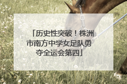 历史性突破！株洲市南方中学女足队勇夺全运会第四