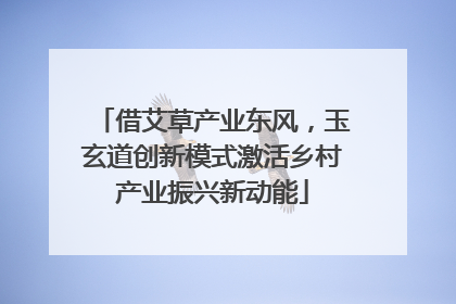 借艾草产业东风，玉玄道创新模式激活乡村产业振兴新动能