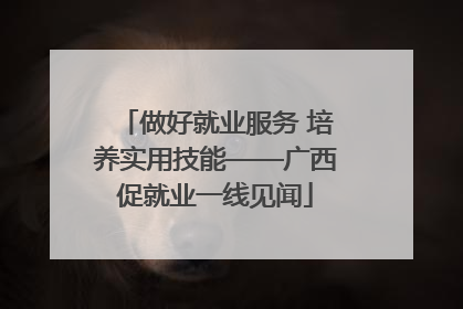 做好就业服务 培养实用技能——广西促就业一线见闻