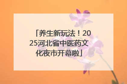 养生新玩法！2025河北省中医药文化夜市开幕啦