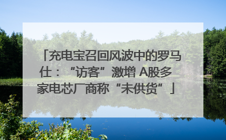 充电宝召回风波中的罗马仕：“访客”激增 A股多家电芯厂商称“未供货”