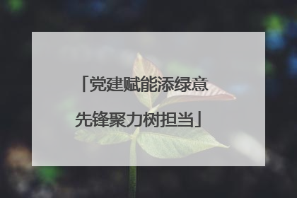 党建赋能添绿意 先锋聚力树担当