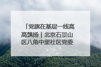 党旗在基层一线高高飘扬｜北京石景山区八角中里社区党委：用脚步丈量民生