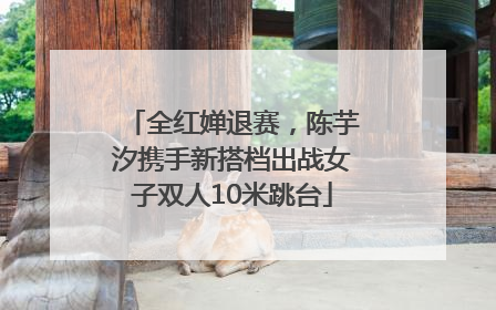 全红婵退赛，陈芋汐携手新搭档出战女子双人10米跳台