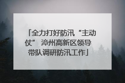 全力打好防汛“主动仗” 漳州高新区领导带队调研防汛工作