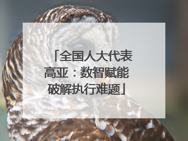 全国人大代表高亚：数智赋能破解执行难题