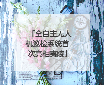 全自主无人机巡检系统首次亮相夷陵