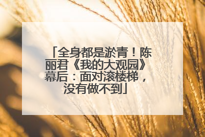 全身都是淤青！陈丽君《我的大观园》幕后：面对滚楼梯，没有做不到