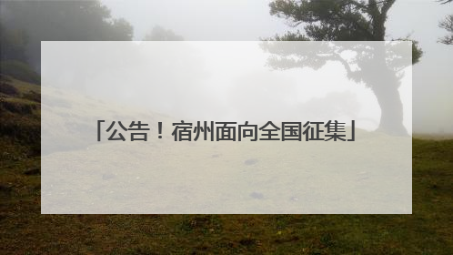 公告！宿州面向全国征集