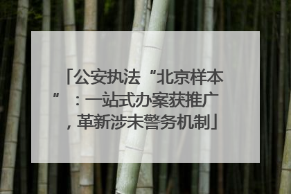 公安执法“北京样本”：一站式办案获推广，革新涉未警务机制