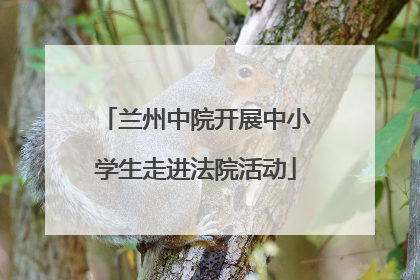 兰州中院开展中小学生走进法院活动