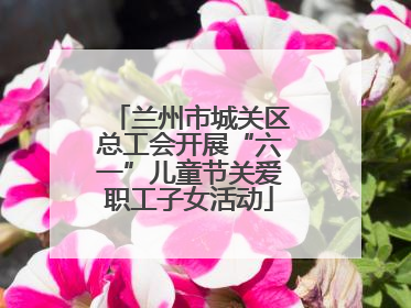 兰州市城关区总工会开展“六一”儿童节关爱职工子女活动