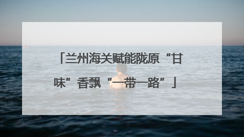兰州海关赋能陇原“甘味”香飘“一带一路”