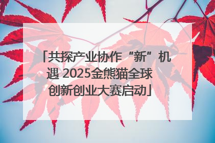 共探产业协作“新”机遇 2025金熊猫全球创新创业大赛启动