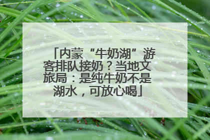 内蒙“牛奶湖”游客排队接奶？当地文旅局：是纯牛奶不是湖水，可放心喝
