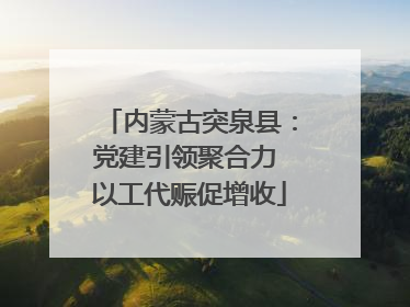 内蒙古突泉县：党建引领聚合力 以工代赈促增收