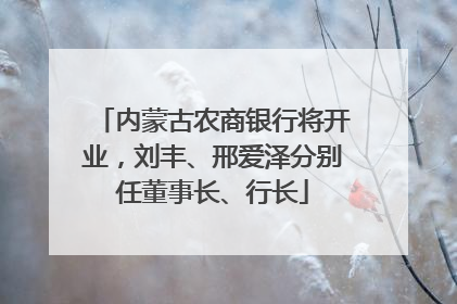 内蒙古农商银行将开业，刘丰、邢爱泽分别任董事长、行长