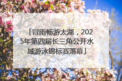 冒雨畅游太湖，2025年第四届长三角公开水域游泳锦标赛落幕