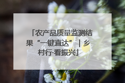 农产品质量监测结果“一键直达”｜乡村行·看振兴