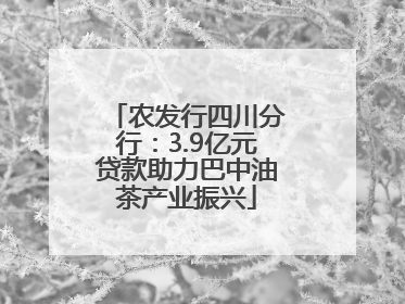 农发行四川分行：3.9亿元贷款助力巴中油茶产业振兴