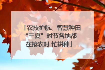 农技护航、智慧种田 “三夏”时节各地都在抢农时 忙耕种