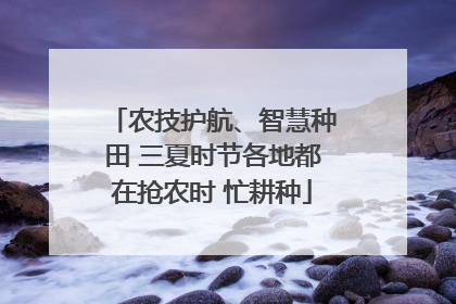 农技护航、智慧种田 三夏时节各地都在抢农时 忙耕种