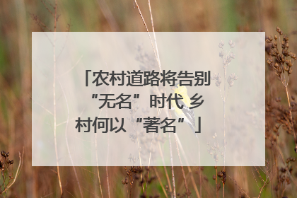 农村道路将告别“无名”时代 乡村何以“著名”