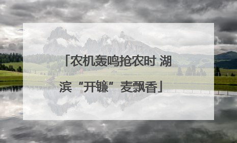 农机轰鸣抢农时 湖滨“开镰”麦飘香