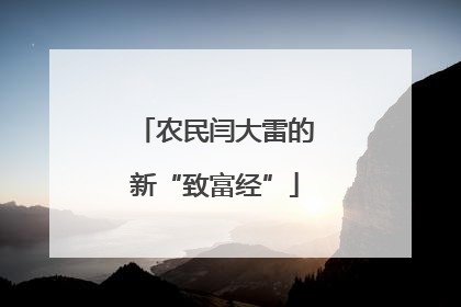 农民闫大雷的新“致富经”